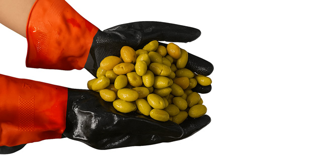 زیتون ماری رودبار با طعمی خاص و بی‌نظیر، برداشت‌شده از بهترین باغ‌های رودبار، عرضه مستقیم و تازه با ضمانت کیفیت توسط رضا نظری